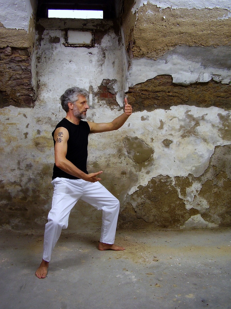 tai chi, taiji, qi gong