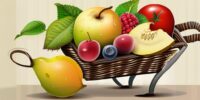 Wie viel Obst am Tag ist gesund?
