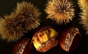 chestnuts, sweet chestnuts, maroni